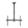 Soporte de techo Argom para TV de 37" a 70"