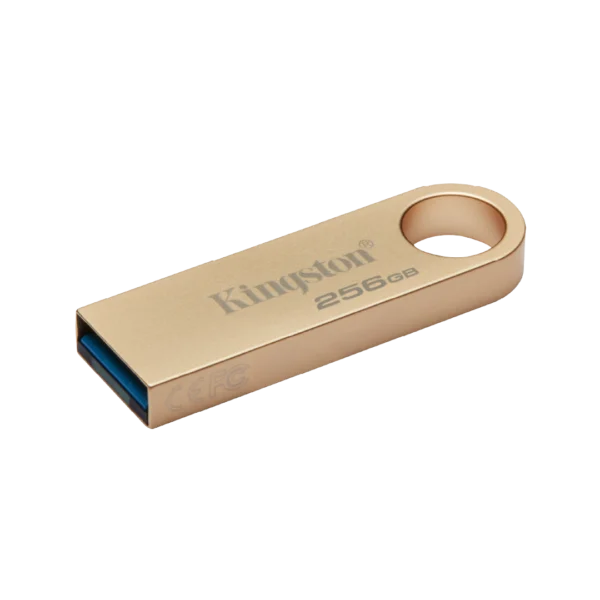 Memoria USB Kingston DTSE9 G3 256GB USB 3.2